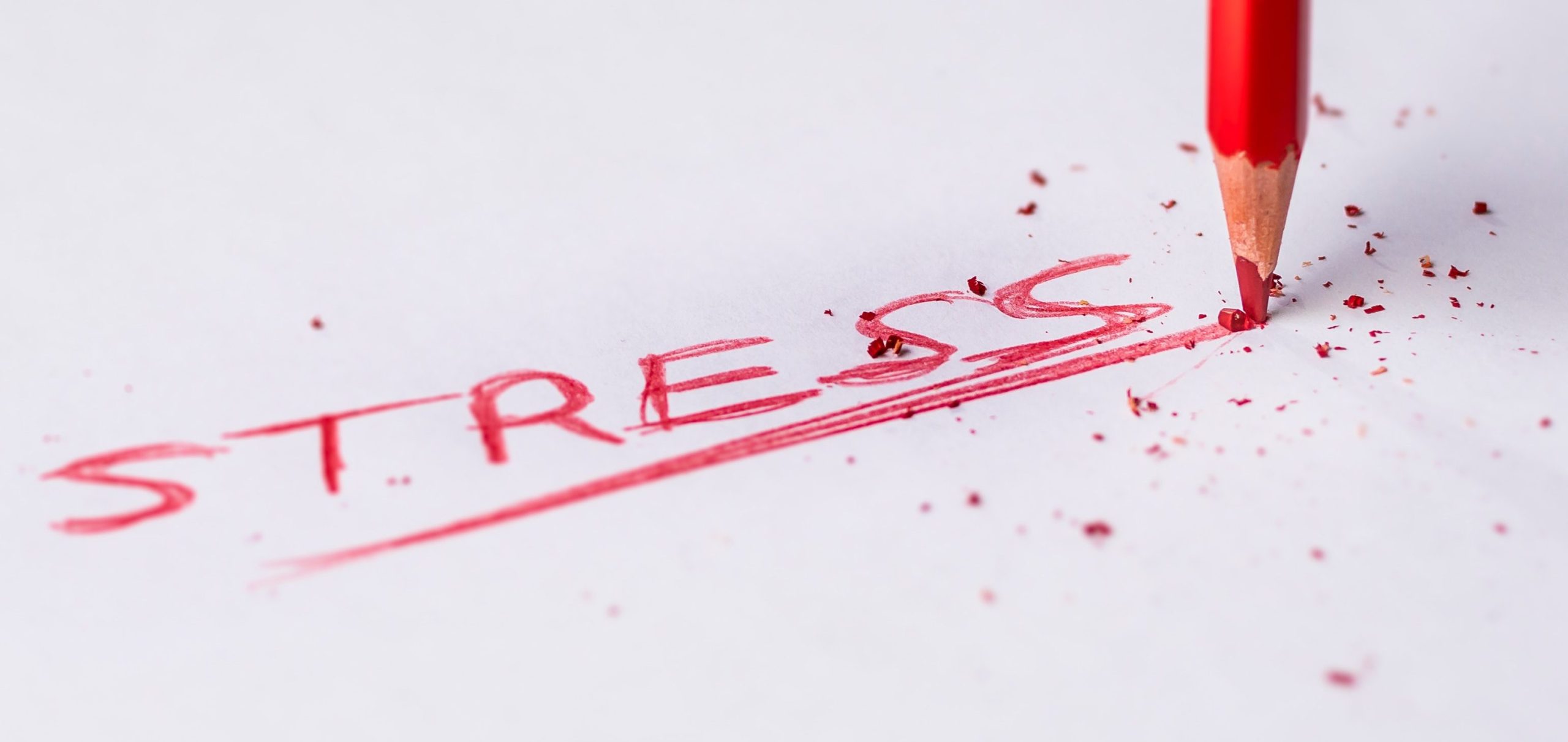 Leren omgaan met examenvrees